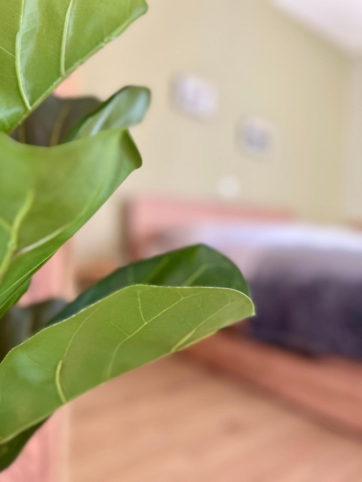 Edessa Woodland Retreat Apartment Екстериор снимка